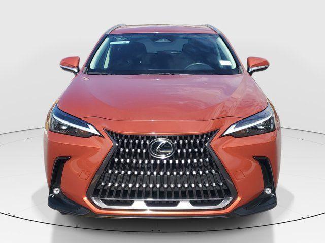 used 2024 Lexus NX 250 car, priced at $37,275