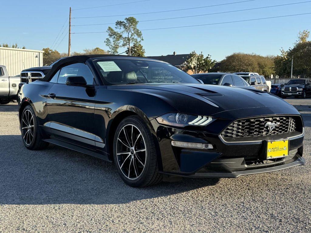 used 2021 Ford Mustang car, priced at $20,000