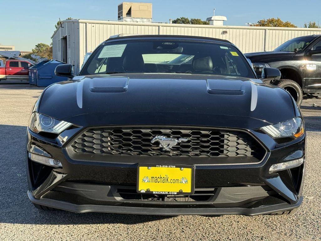used 2021 Ford Mustang car, priced at $20,000