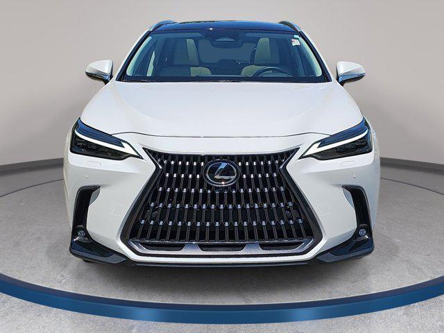 used 2025 Lexus NX 350h car, priced at $54,680