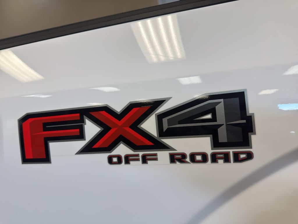 used 2019 Ford F-150 car