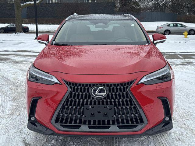 used 2025 Lexus NX 350 car, priced at $54,995