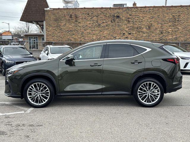 used 2025 Lexus NX 350 car, priced at $47,895