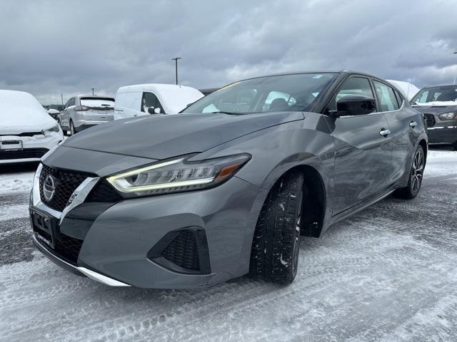 used 2019 Nissan Maxima car, priced at $16,885
