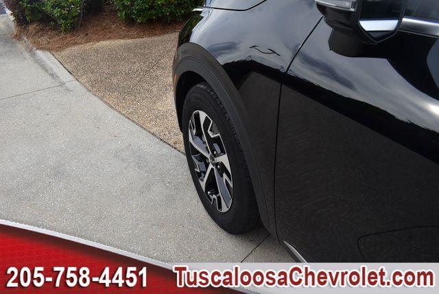 used 2024 Kia Sportage car, priced at $26,354