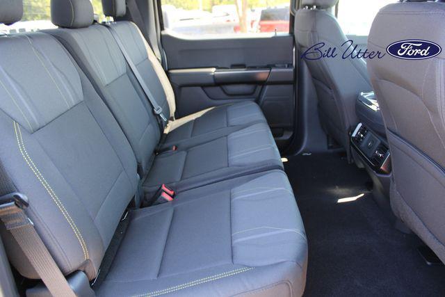 new 2025 Ford F-150 car, priced at $48,209