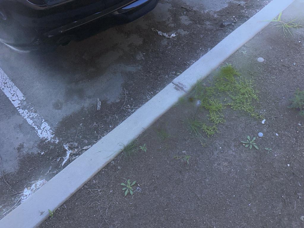 used 2024 Dodge Durango car, priced at $38,319