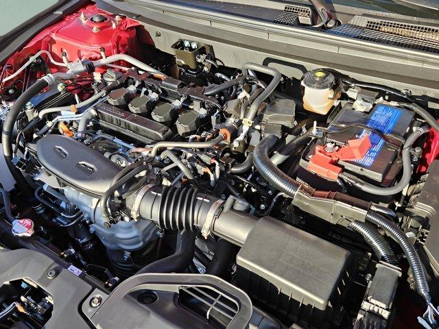 new 2025 Honda Accord car, priced at $29,503