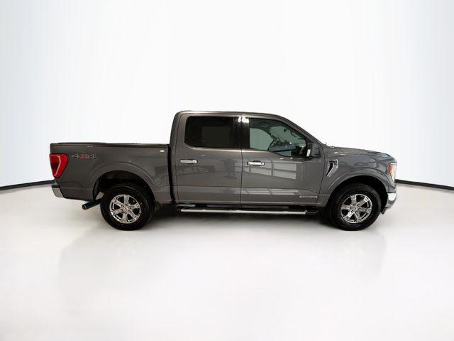 used 2021 Ford F-150 car, priced at $26,240