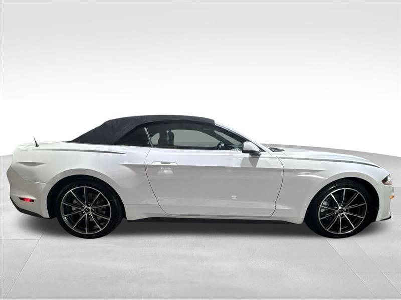 used 2019 Ford Mustang car, priced at $18,977