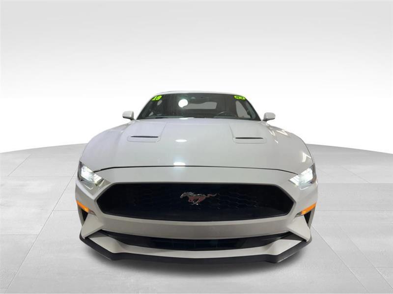 used 2019 Ford Mustang car, priced at $18,977