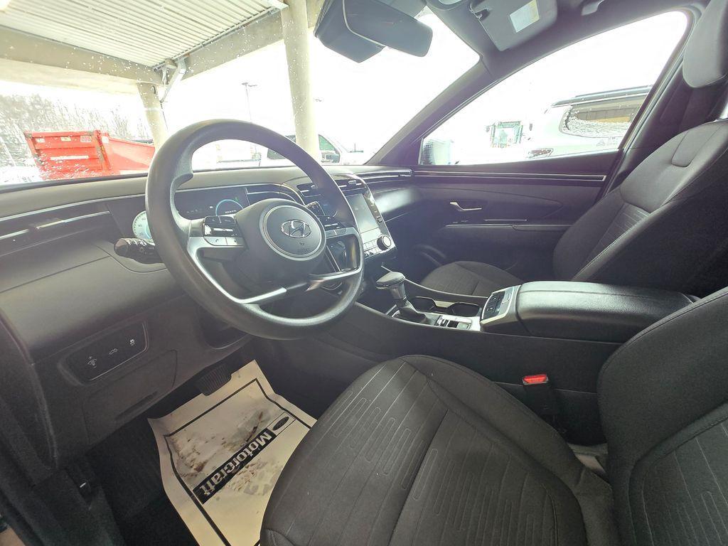 used 2023 Hyundai SANTA CRUZ car, priced at $25,000