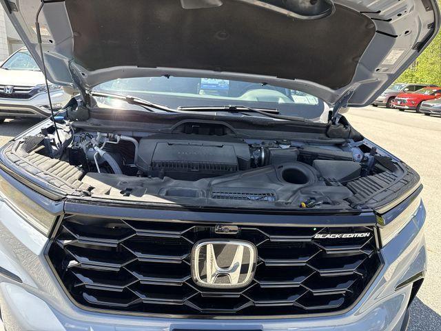 used 2025 Honda Pilot car, priced at $50,053