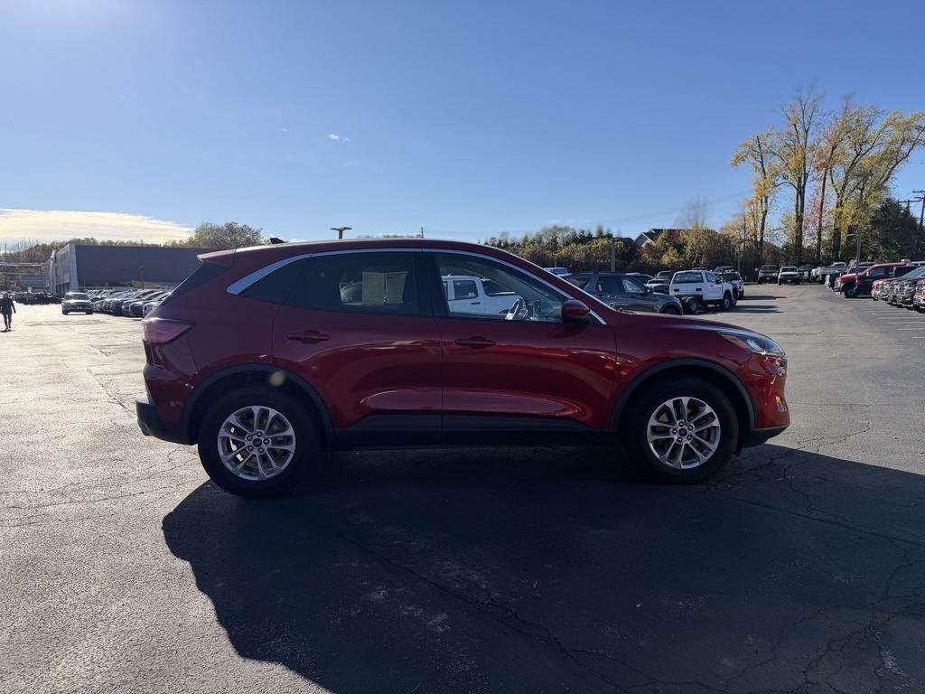 used 2020 Ford Escape car, priced at $19,990