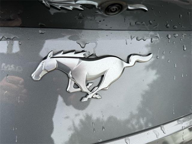 used 2024 Ford Mustang car, priced at $31,000