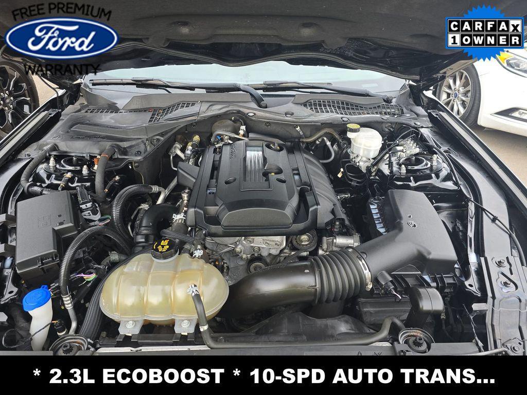 used 2020 Ford Mustang car, priced at $17,999