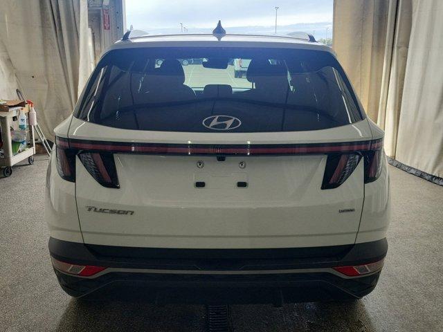 used 2023 Hyundai Tucson car, priced at $17,685
