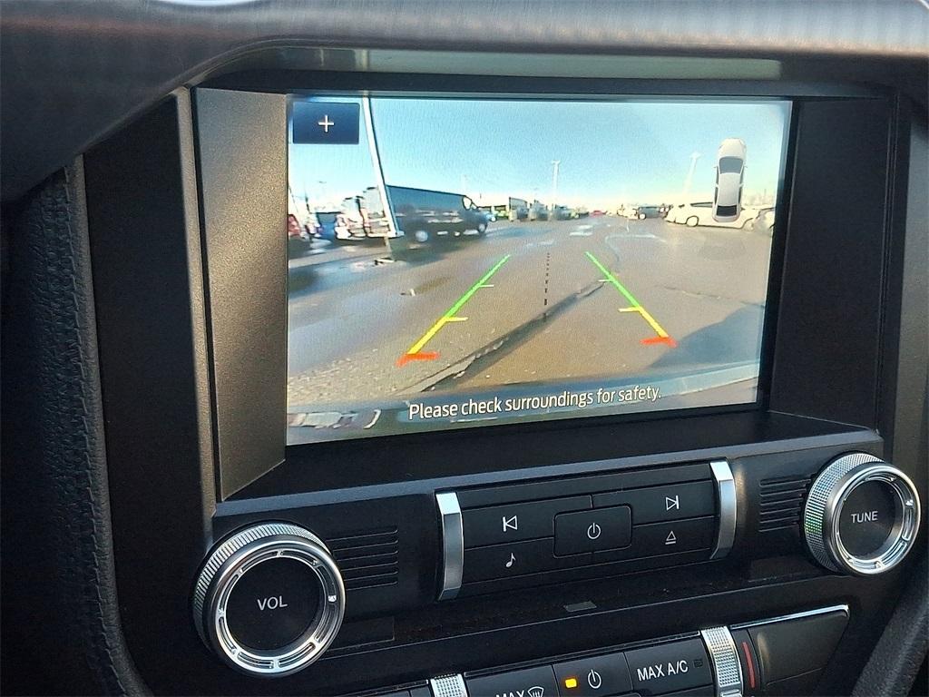 2019 Dark Highland Green Ford Mustang