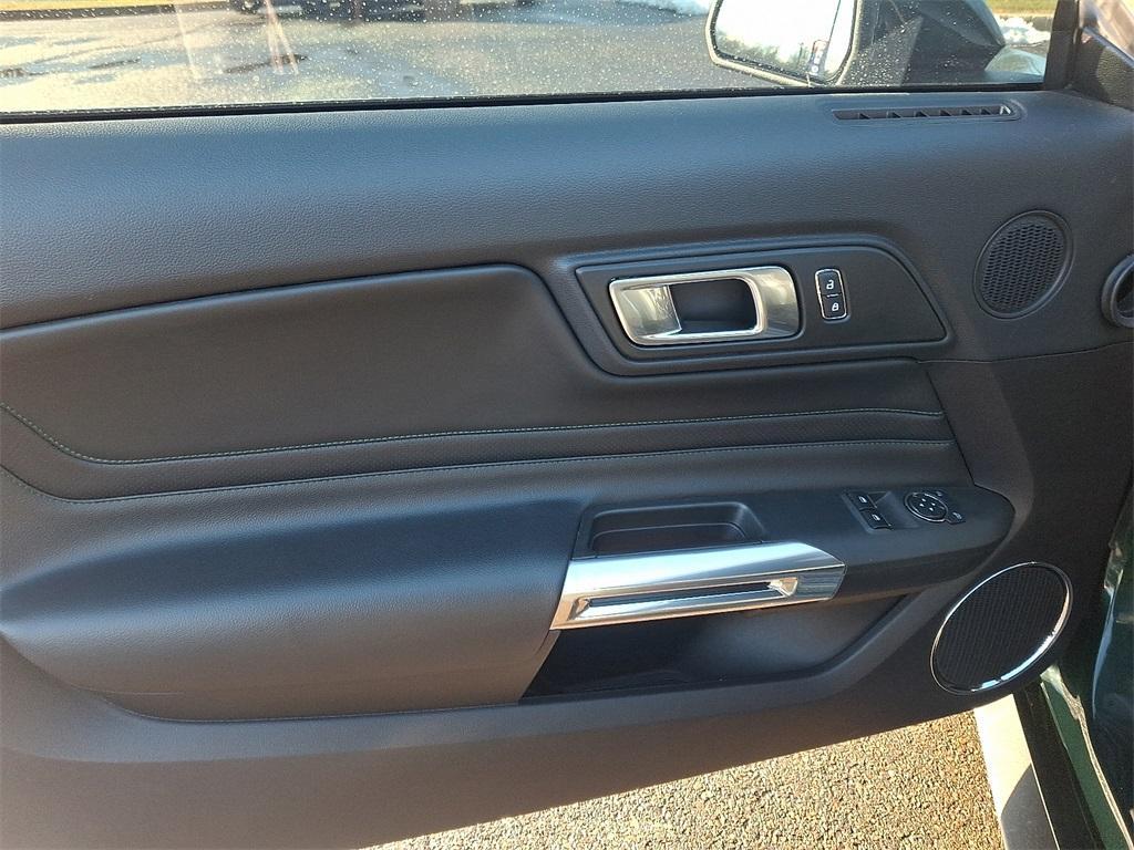 2019 Dark Highland Green Ford Mustang