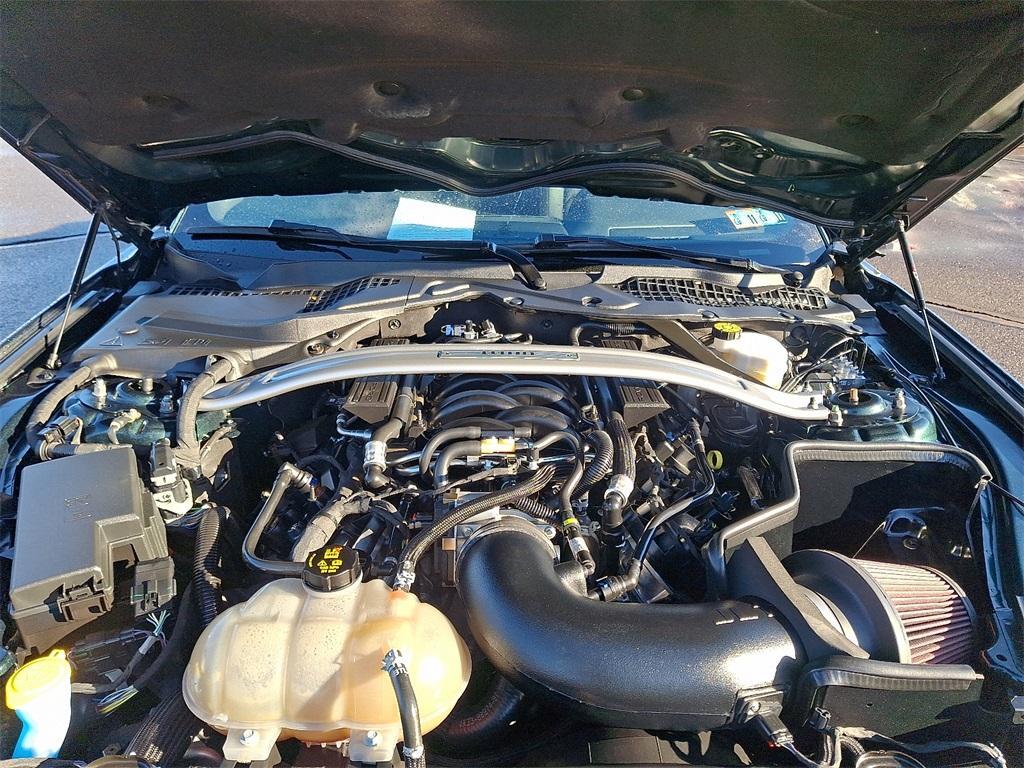 2019 Dark Highland Green Ford Mustang