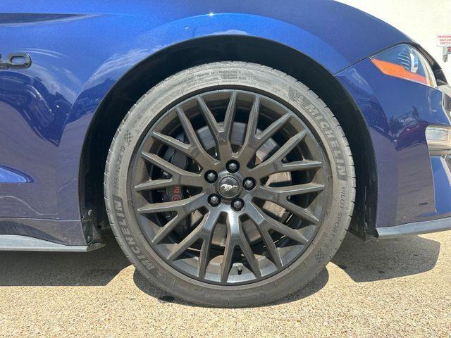 used 2019 Ford Mustang car
