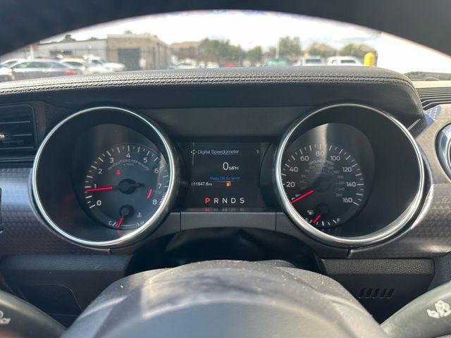 used 2019 Ford Mustang car