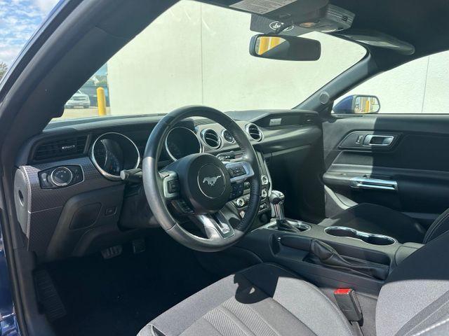 used 2019 Ford Mustang car