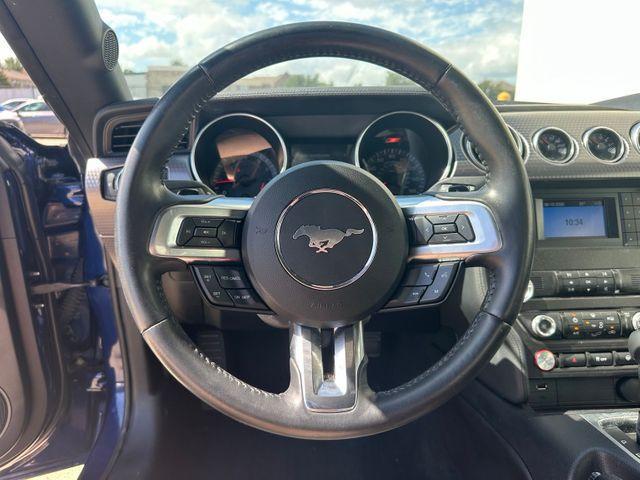 used 2019 Ford Mustang car