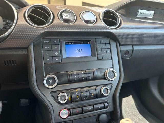 used 2019 Ford Mustang car