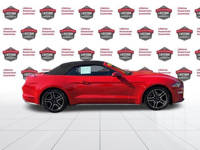used 2020 Ford Mustang car