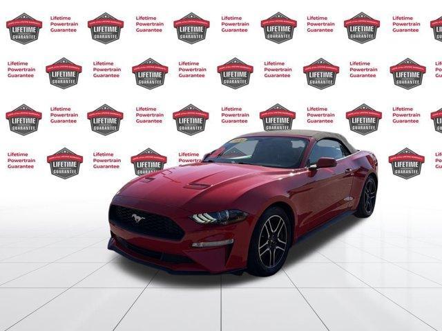 used 2020 Ford Mustang car