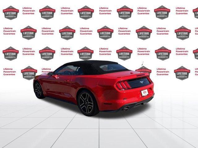 used 2020 Ford Mustang car