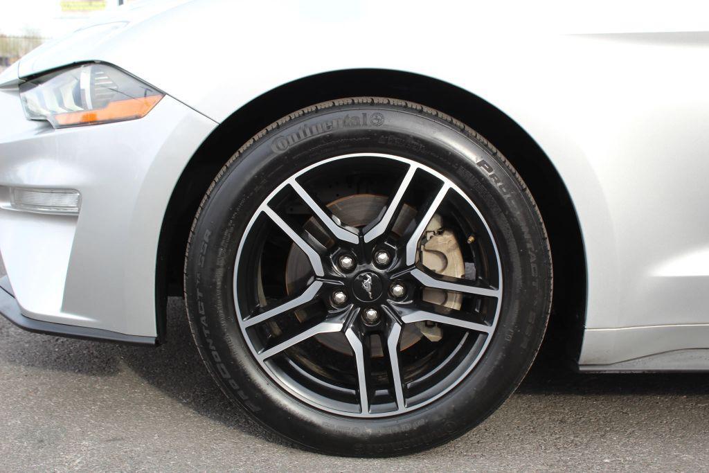 used 2019 Ford Mustang car, priced at $19,995