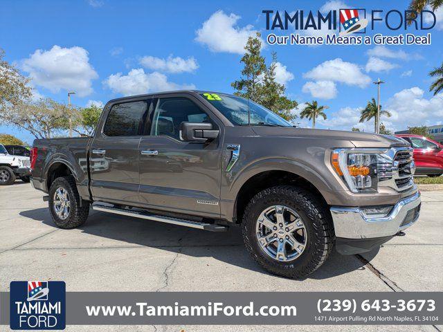 used 2023 Ford F-150 car, priced at $41,946