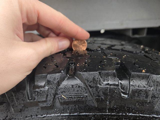 used 2021 Ford F-150 car, priced at $25,995