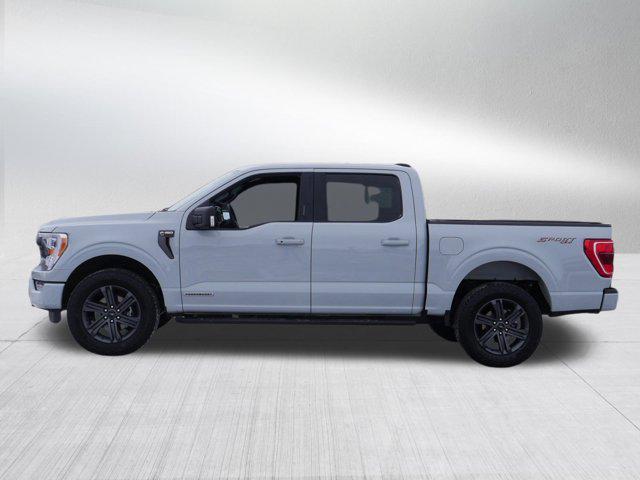used 2023 Ford F-150 car, priced at $35,796