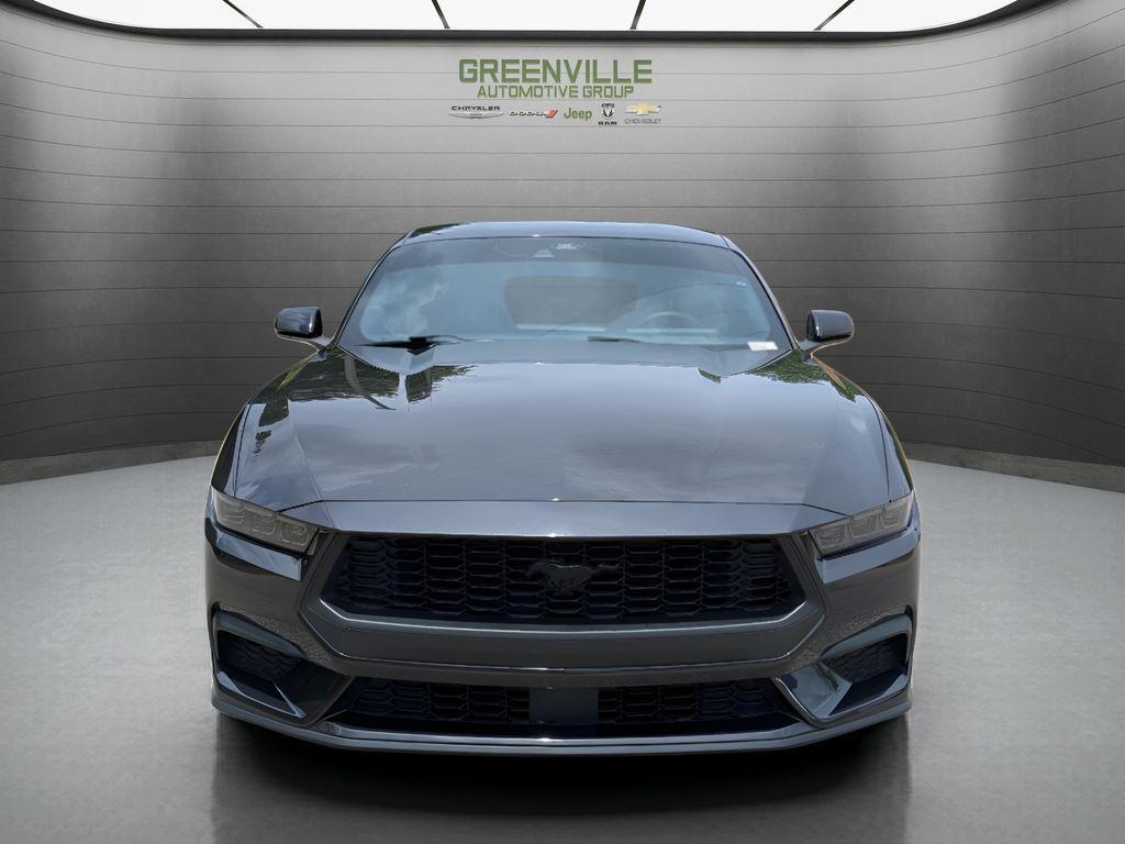 used 2024 Ford Mustang car