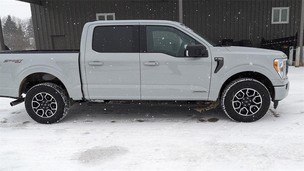 used 2023 Ford F-150 car, priced at $41,447