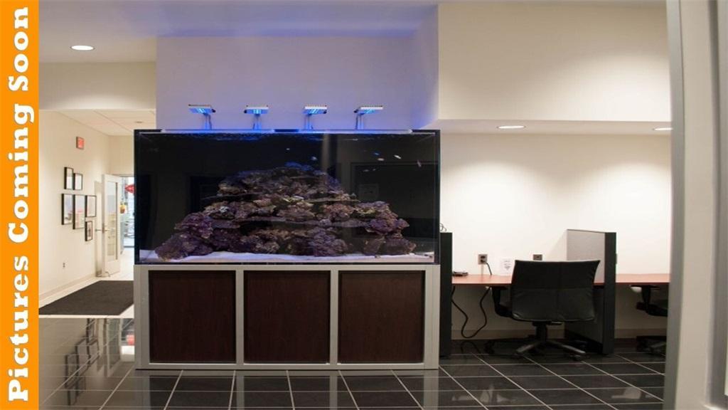 new 2026 Ford Transit-250 car, priced at $55,565