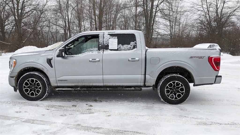 used 2023 Ford F-150 car, priced at $40,488