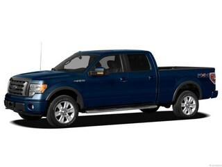 used 2012 Ford F-150 car