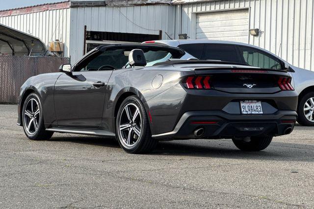 used 2024 Ford Mustang car, priced at $25,990