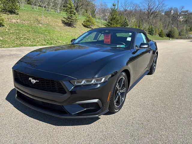 used 2024 Ford Mustang car, priced at $33,500