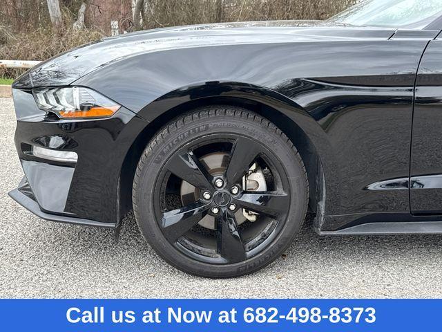 used 2023 Ford Mustang car, priced at $28,500