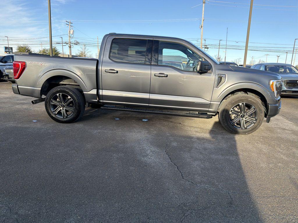 used 2023 Ford F-150 car, priced at $41,890