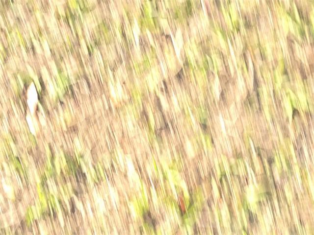 used 2014 Ram 1500 car, priced at $8,997