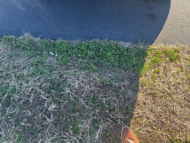 used 2021 Ram 1500 car, priced at $69,777