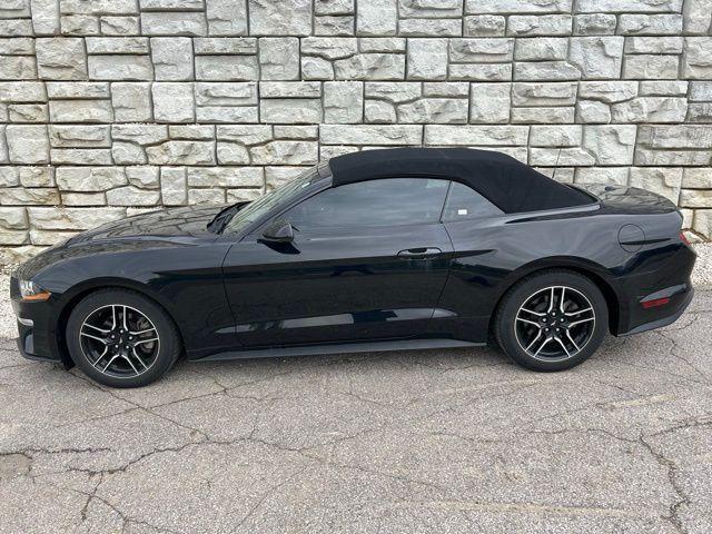 used 2023 Ford Mustang car