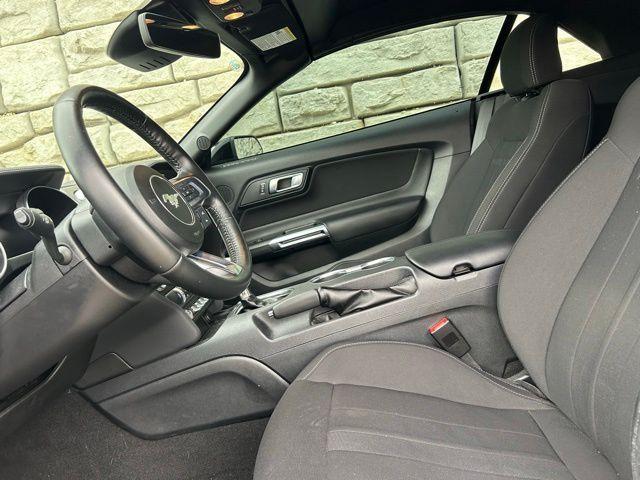 used 2023 Ford Mustang car