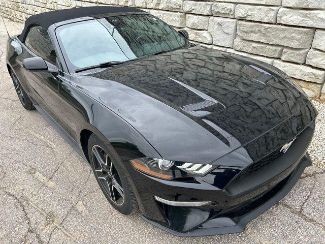 used 2023 Ford Mustang car